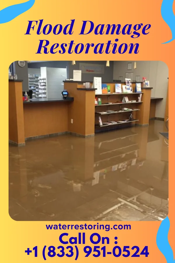 Flood Damage Restoration in Berry, AL
